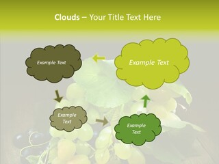 Vivid Vegetation Grape PowerPoint Template