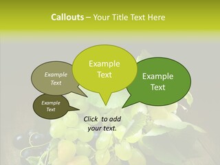 Vivid Vegetation Grape PowerPoint Template