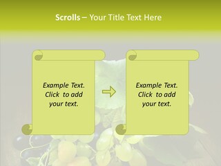 Vivid Vegetation Grape PowerPoint Template