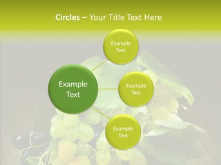Vivid Vegetation Grape PowerPoint Template