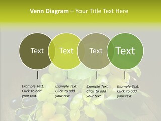 Vivid Vegetation Grape PowerPoint Template