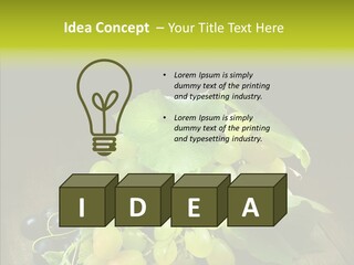 Vivid Vegetation Grape PowerPoint Template