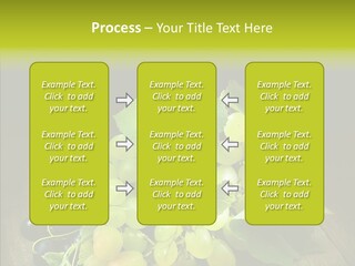 Vivid Vegetation Grape PowerPoint Template