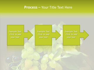 Vivid Vegetation Grape PowerPoint Template