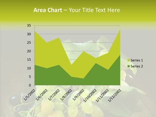 Vivid Vegetation Grape PowerPoint Template
