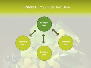 Vivid Vegetation Grape PowerPoint Template