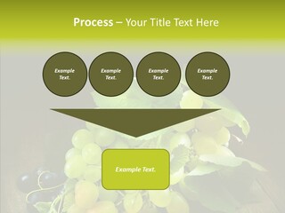 Vivid Vegetation Grape PowerPoint Template