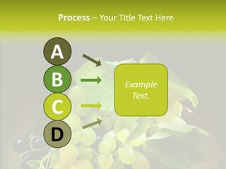 Vivid Vegetation Grape PowerPoint Template
