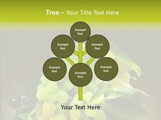 Vivid Vegetation Grape PowerPoint Template