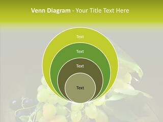 Vivid Vegetation Grape PowerPoint Template