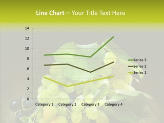 Vivid Vegetation Grape PowerPoint Template