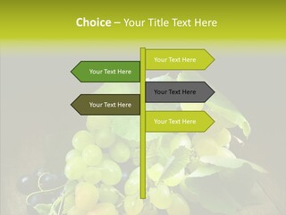 Vivid Vegetation Grape PowerPoint Template
