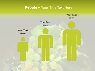 Vivid Vegetation Grape PowerPoint Template