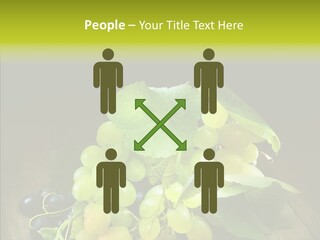 Vivid Vegetation Grape PowerPoint Template