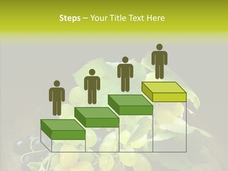 Vivid Vegetation Grape PowerPoint Template