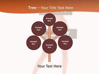 Belly Woman Navel PowerPoint Template