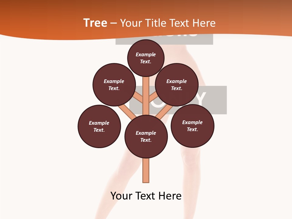Belly Woman Navel PowerPoint Template