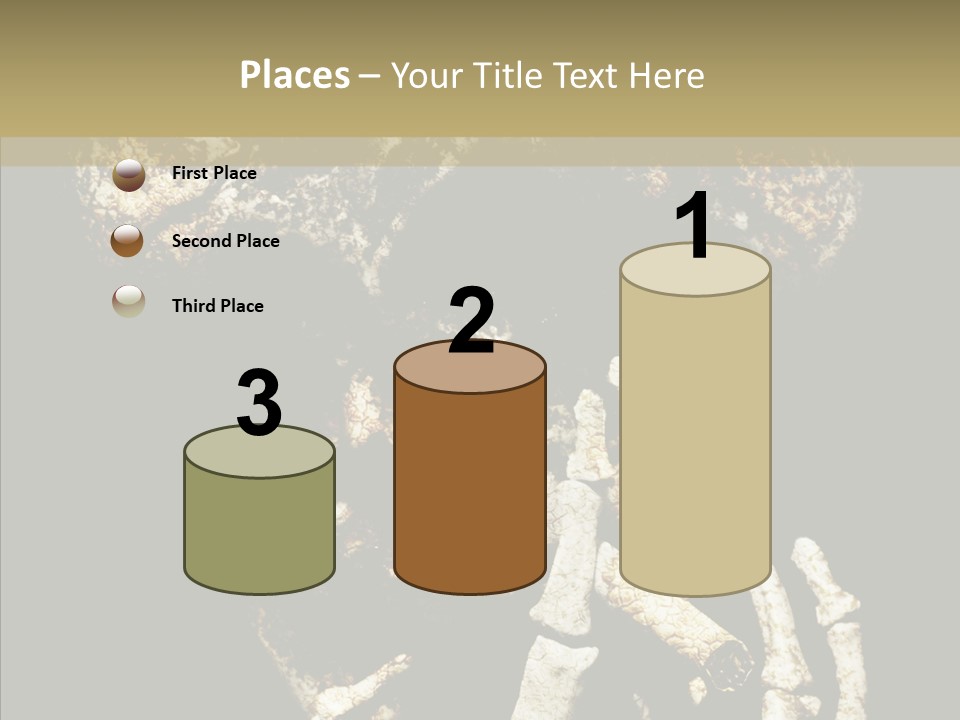 Skeleton Stain Closeup PowerPoint Template