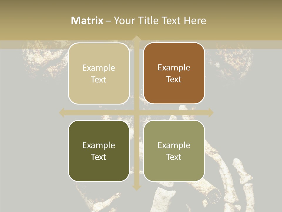 Skeleton Stain Closeup PowerPoint Template