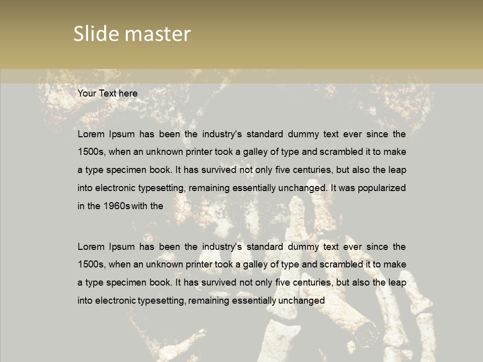 Skeleton Stain Closeup PowerPoint Template
