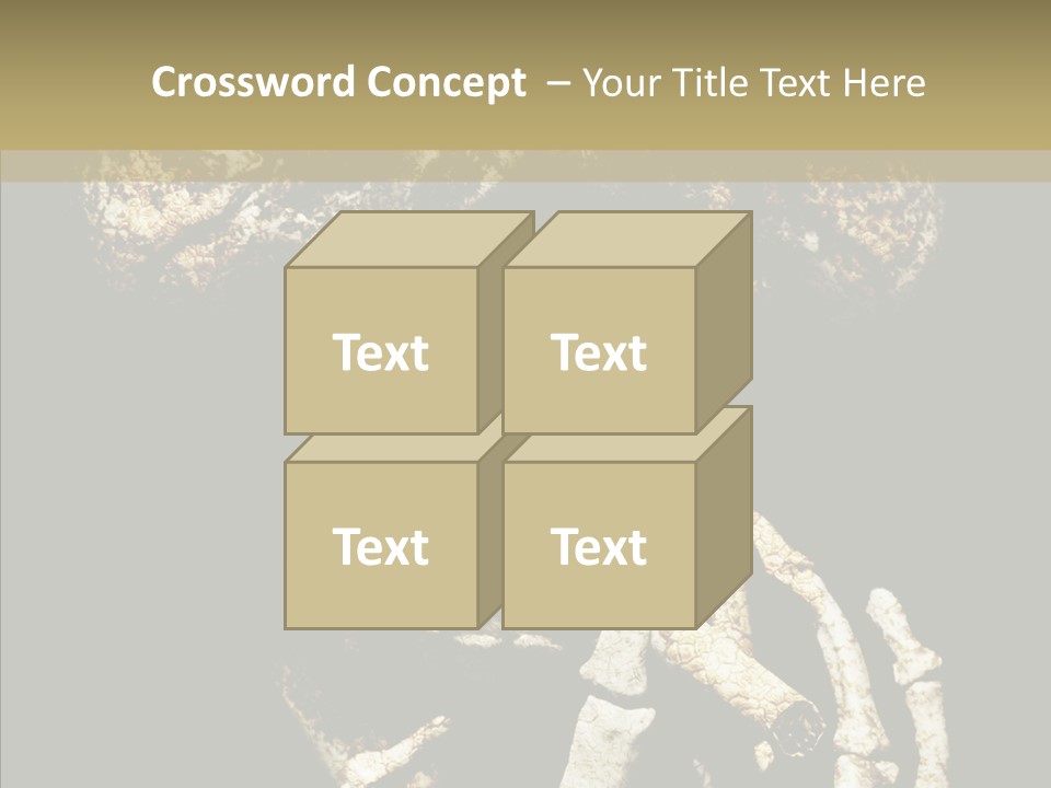 Skeleton Stain Closeup PowerPoint Template