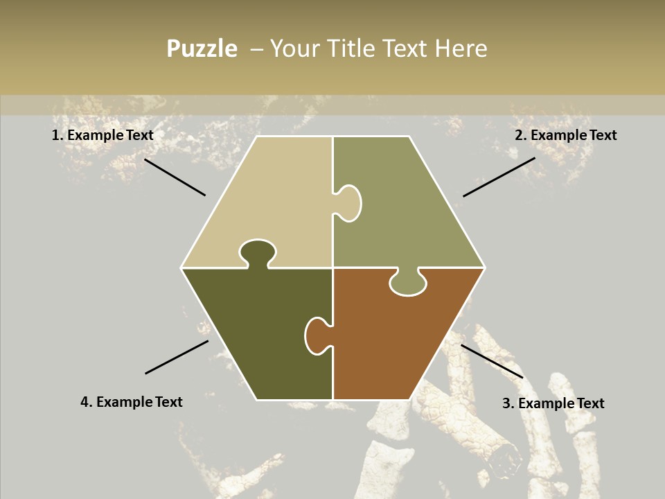 Skeleton Stain Closeup PowerPoint Template