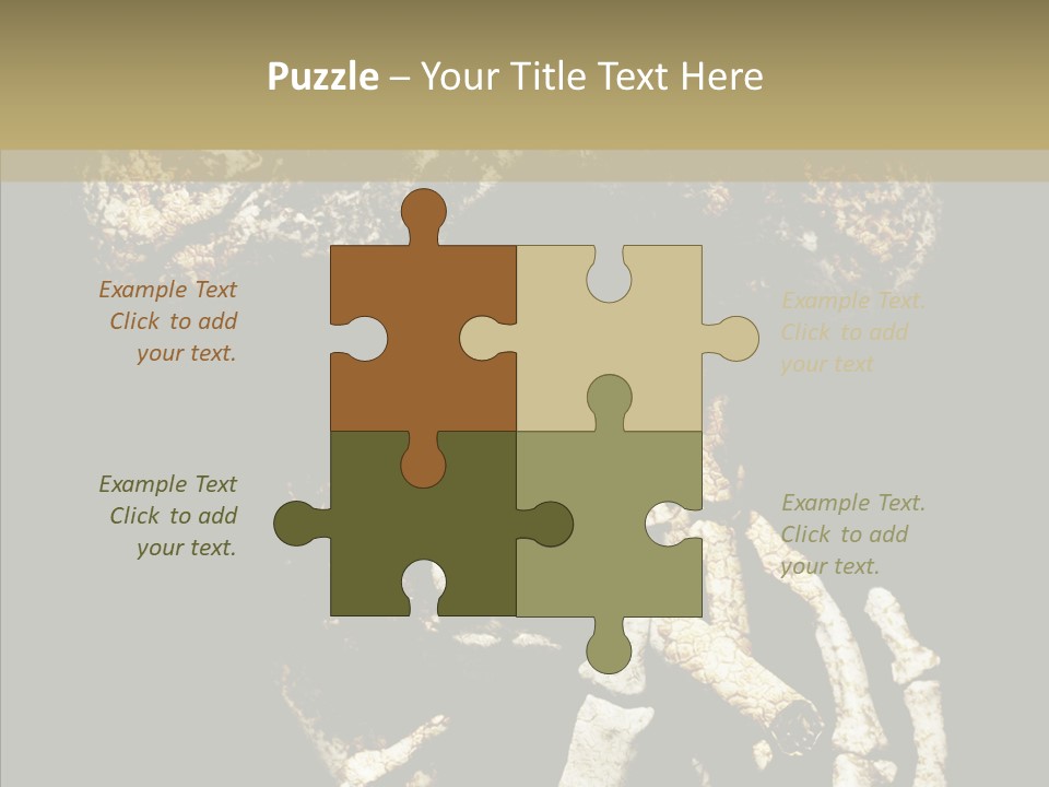 Skeleton Stain Closeup PowerPoint Template