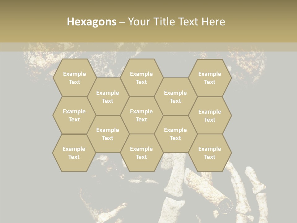 Skeleton Stain Closeup PowerPoint Template