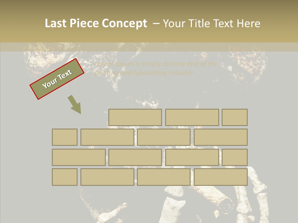 Skeleton Stain Closeup PowerPoint Template