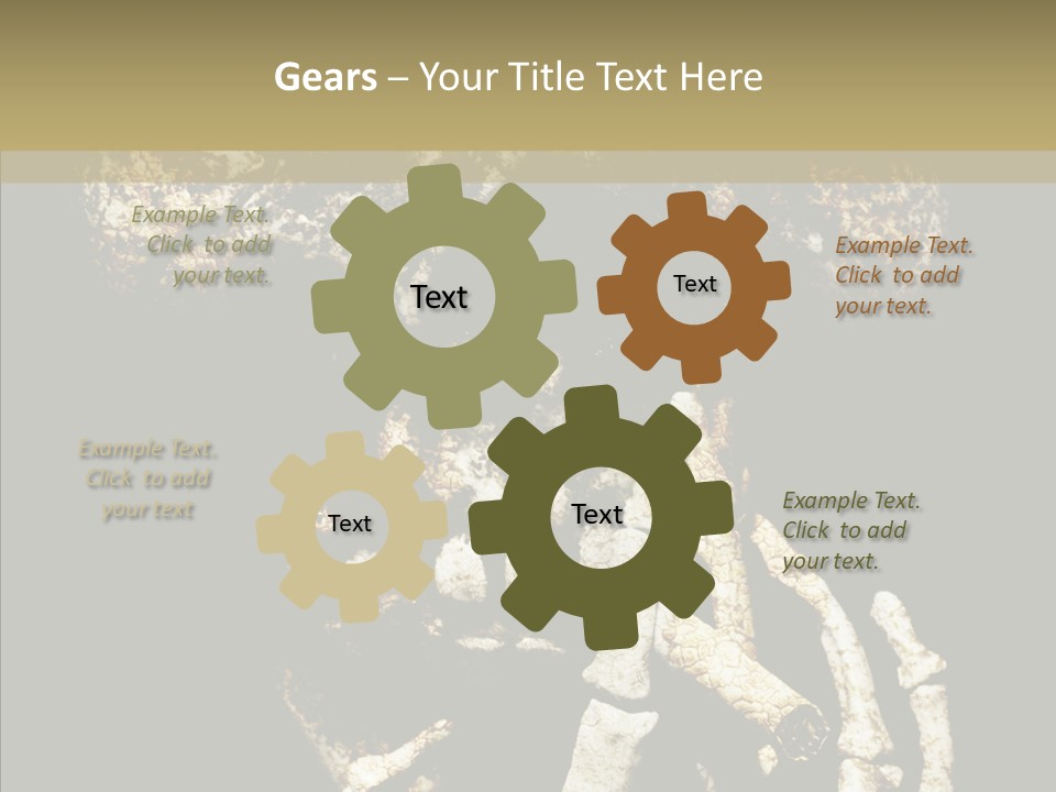 Skeleton Stain Closeup PowerPoint Template