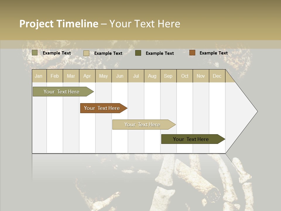 Skeleton Stain Closeup PowerPoint Template