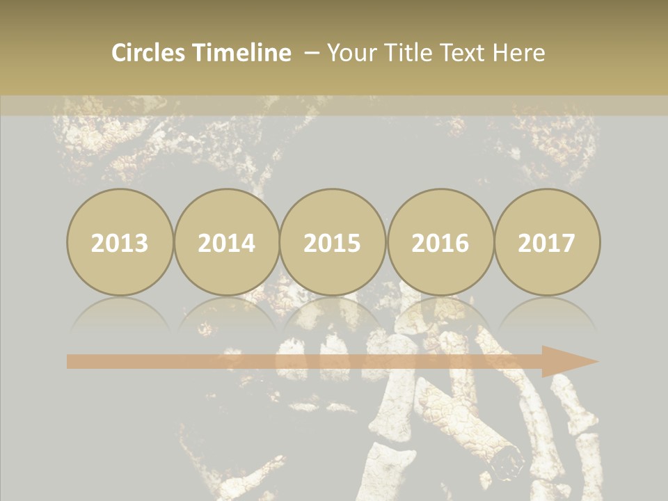 Skeleton Stain Closeup PowerPoint Template