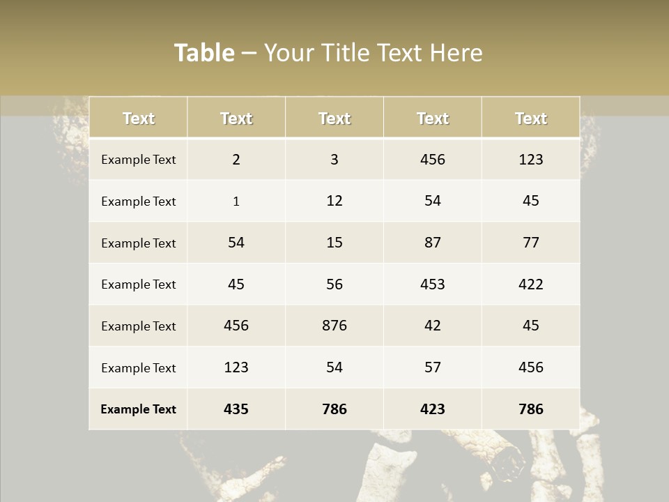 Skeleton Stain Closeup PowerPoint Template