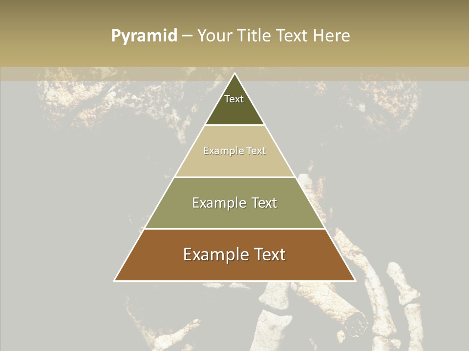 Skeleton Stain Closeup PowerPoint Template