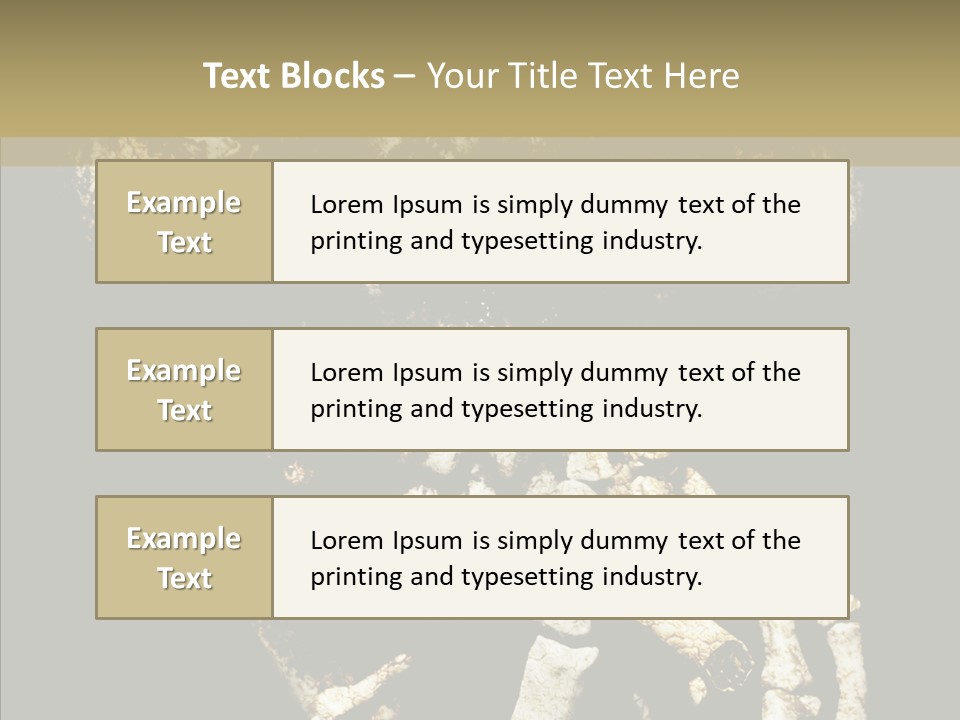 Skeleton Stain Closeup PowerPoint Template