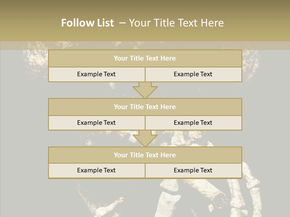 Skeleton Stain Closeup PowerPoint Template