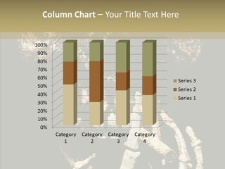 Skeleton Stain Closeup PowerPoint Template