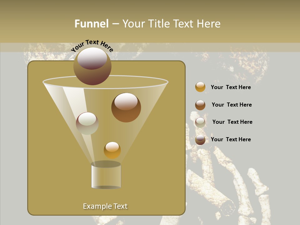 Skeleton Stain Closeup PowerPoint Template