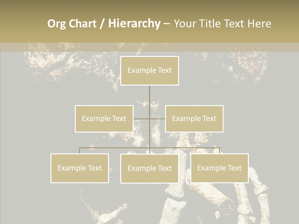 Skeleton Stain Closeup PowerPoint Template
