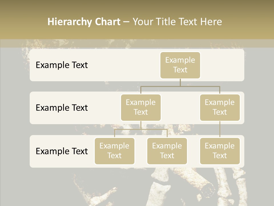 Skeleton Stain Closeup PowerPoint Template