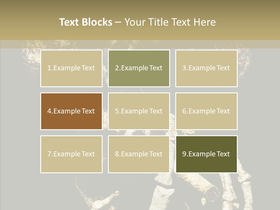 Skeleton Stain Closeup PowerPoint Template