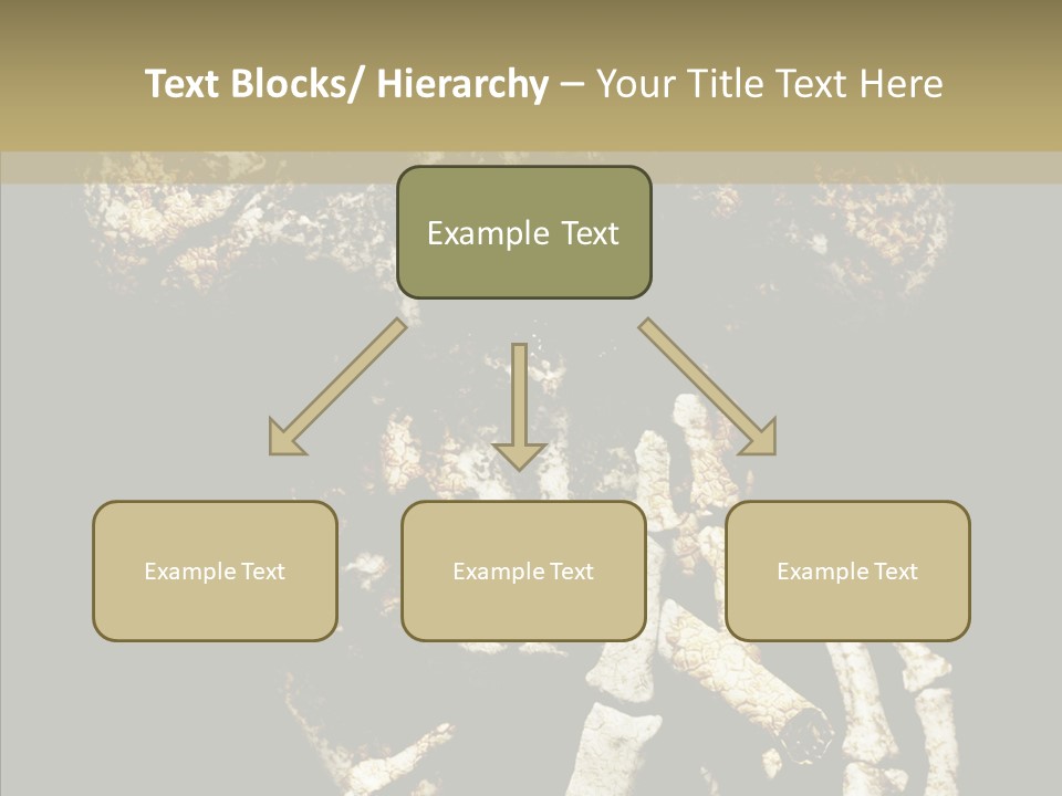 Skeleton Stain Closeup PowerPoint Template