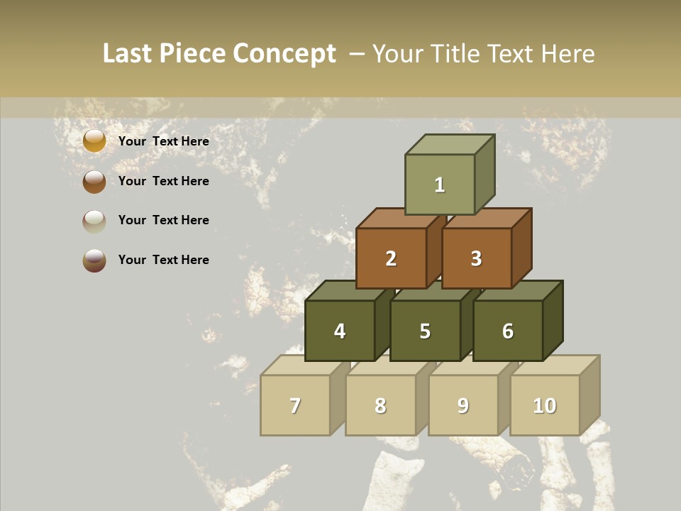 Skeleton Stain Closeup PowerPoint Template