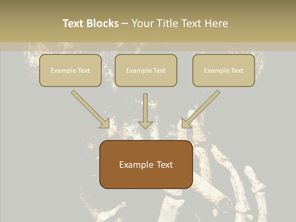 Skeleton Stain Closeup PowerPoint Template