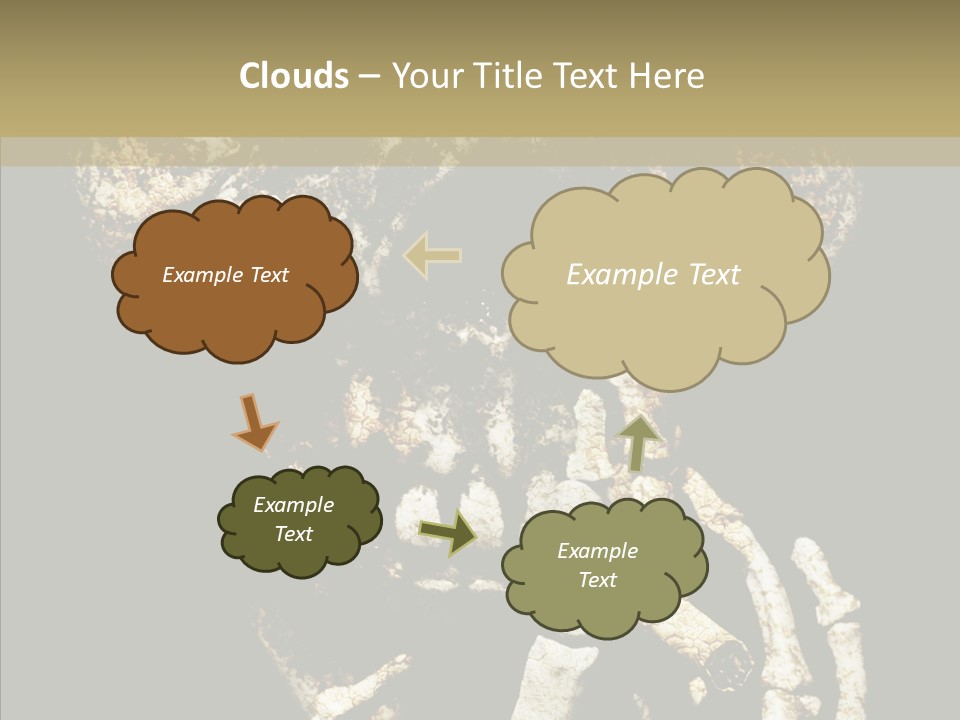 Skeleton Stain Closeup PowerPoint Template