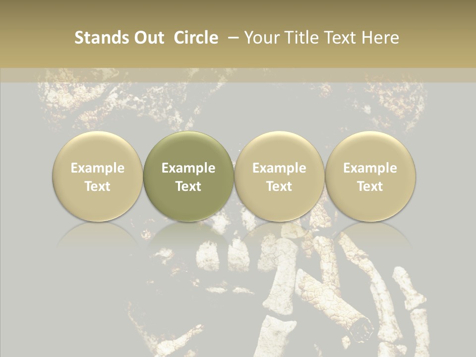 Skeleton Stain Closeup PowerPoint Template