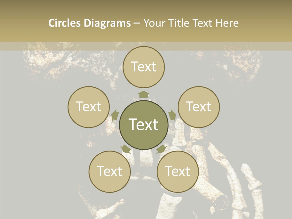 Skeleton Stain Closeup PowerPoint Template