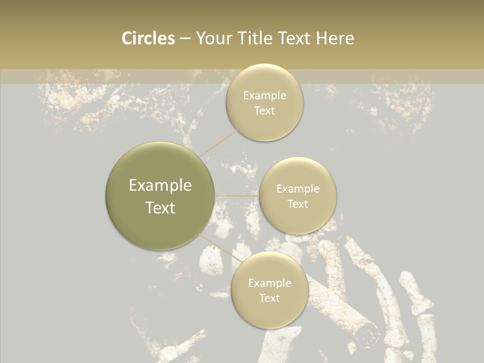 Skeleton Stain Closeup PowerPoint Template