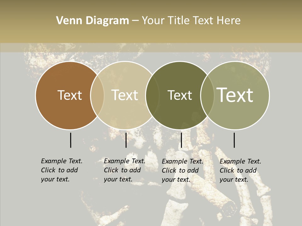 Skeleton Stain Closeup PowerPoint Template