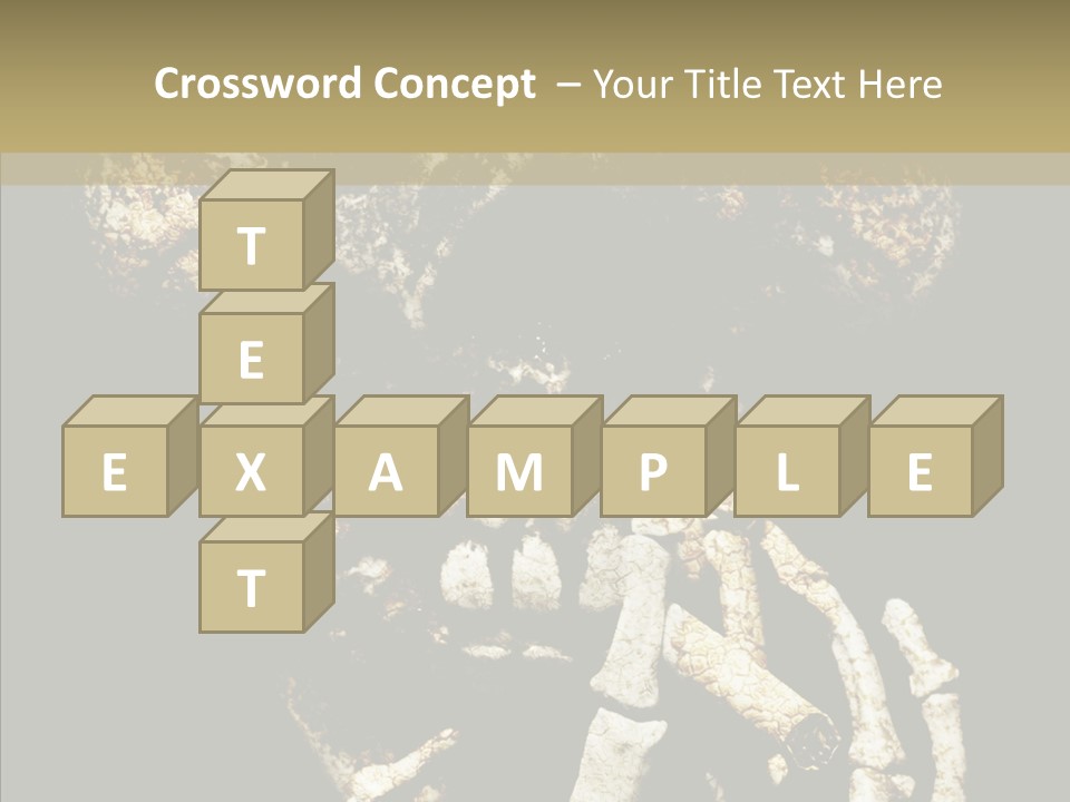 Skeleton Stain Closeup PowerPoint Template